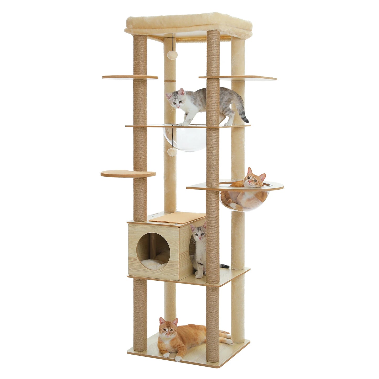 Arbre à chat en bois - Tour avec capsule transparente