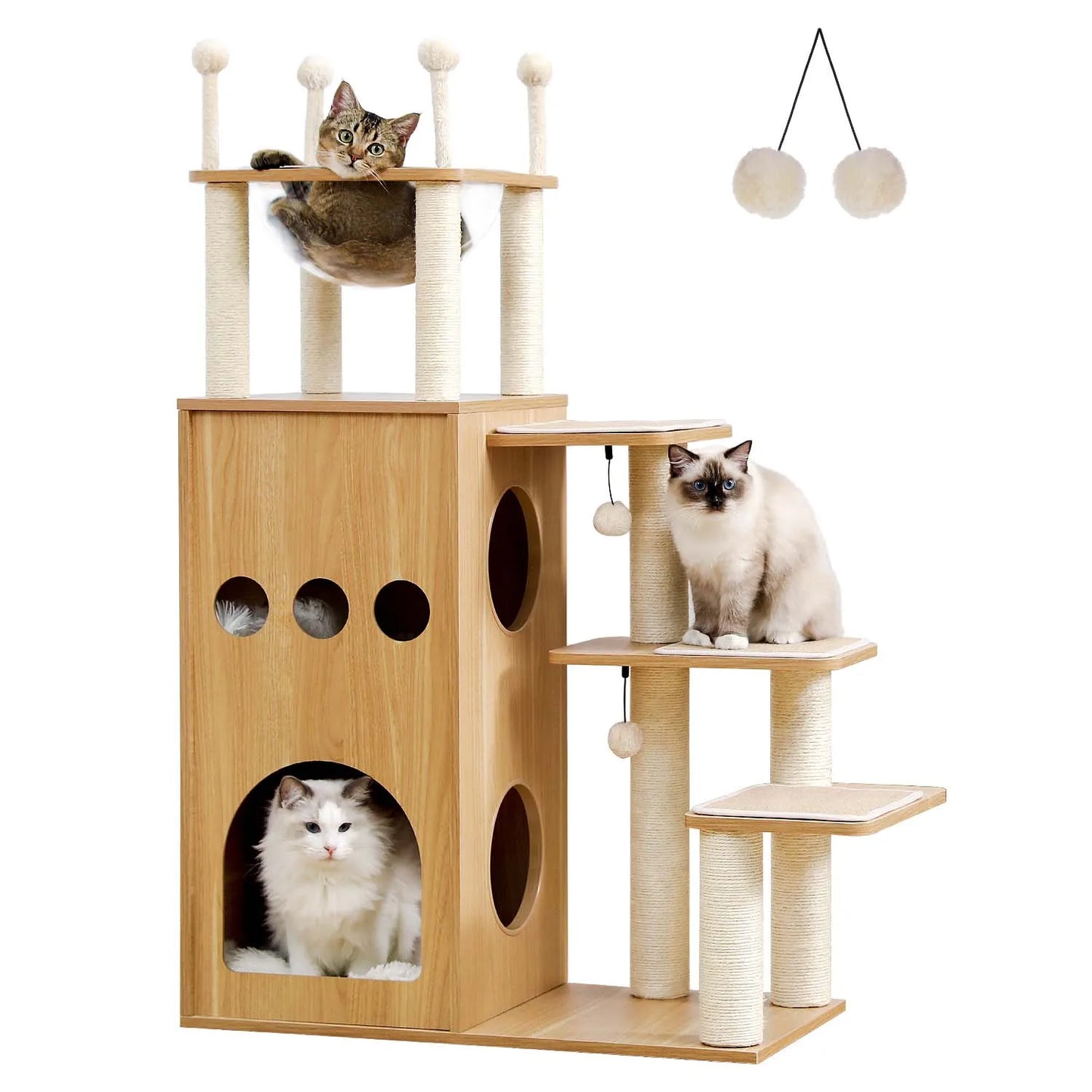 Chat ragdoll sur le perchoir et chat siamois dans la niche de l'arbre à chat en bois château avec pompons suspendus