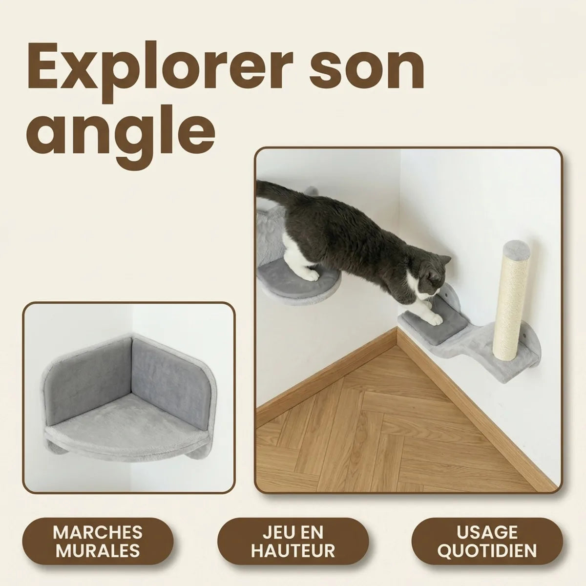 Chat noir et blanc explorant une niche d'angle grise avec griffoir sisal et plateforme en bois clair.