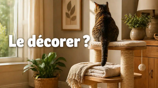 Comment décorer son arbre à chat ?