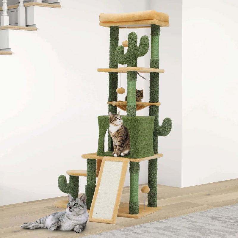 Arbre à chat cactus