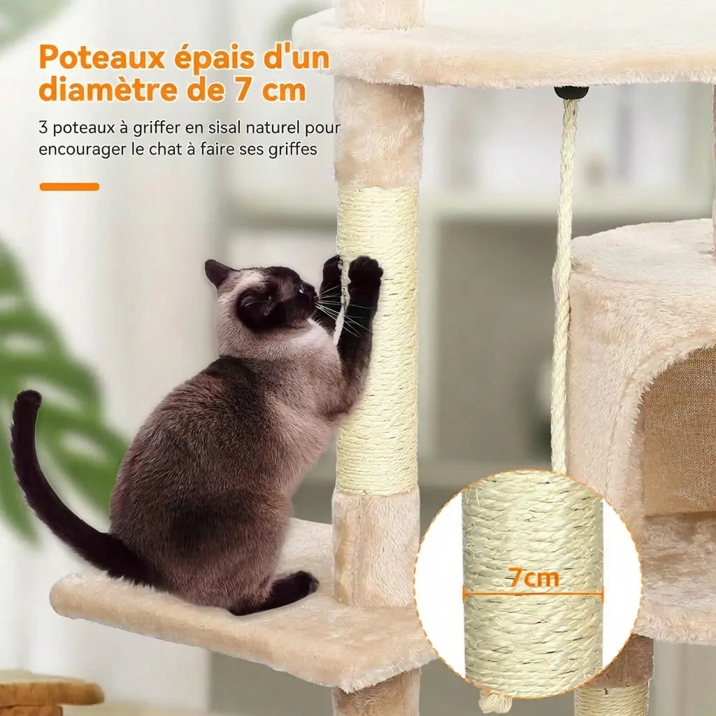 Chat gris qui griffe les poteaux épais de 7 cm en sisal naturel de l'arbre à chat beige