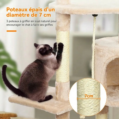 Chat gris qui griffe les poteaux épais de 7 cm en sisal naturel de l'arbre à chat beige