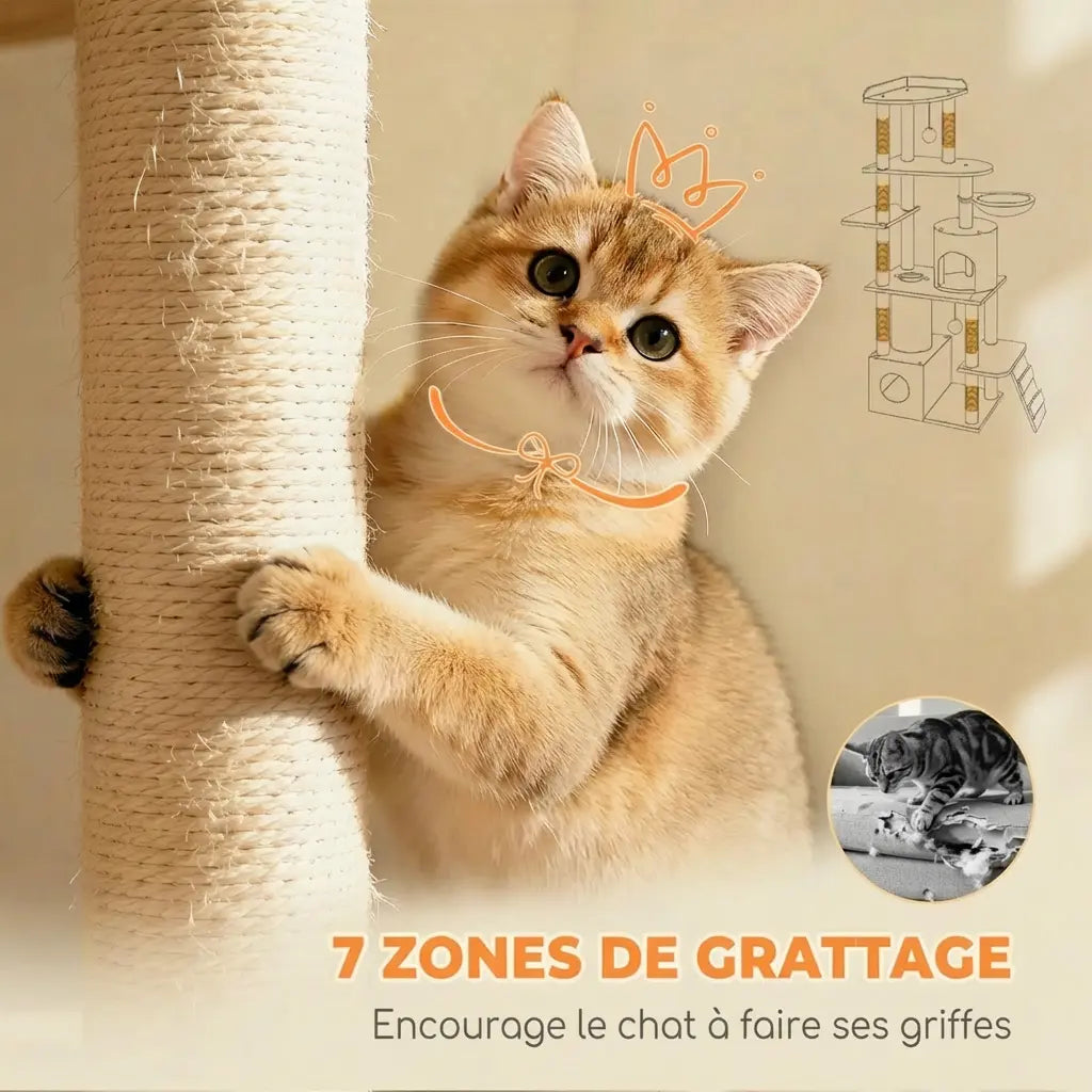 Chat doré qui griffe l'un des sept poteaux sisal de l'arbre à chat beige avec infographie des zones de grattage