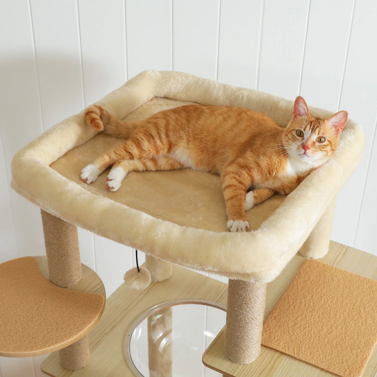 Chat roux allongé sur le large perchoir moelleux de l'arbre à chat en bois beige