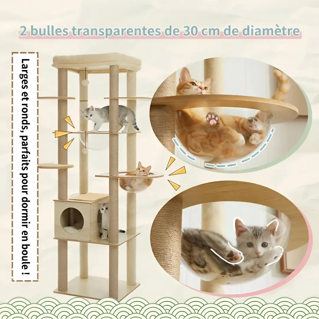 Schéma technique annoté en bleu des dimensions et niveaux du grand arbre à chat en bois beige