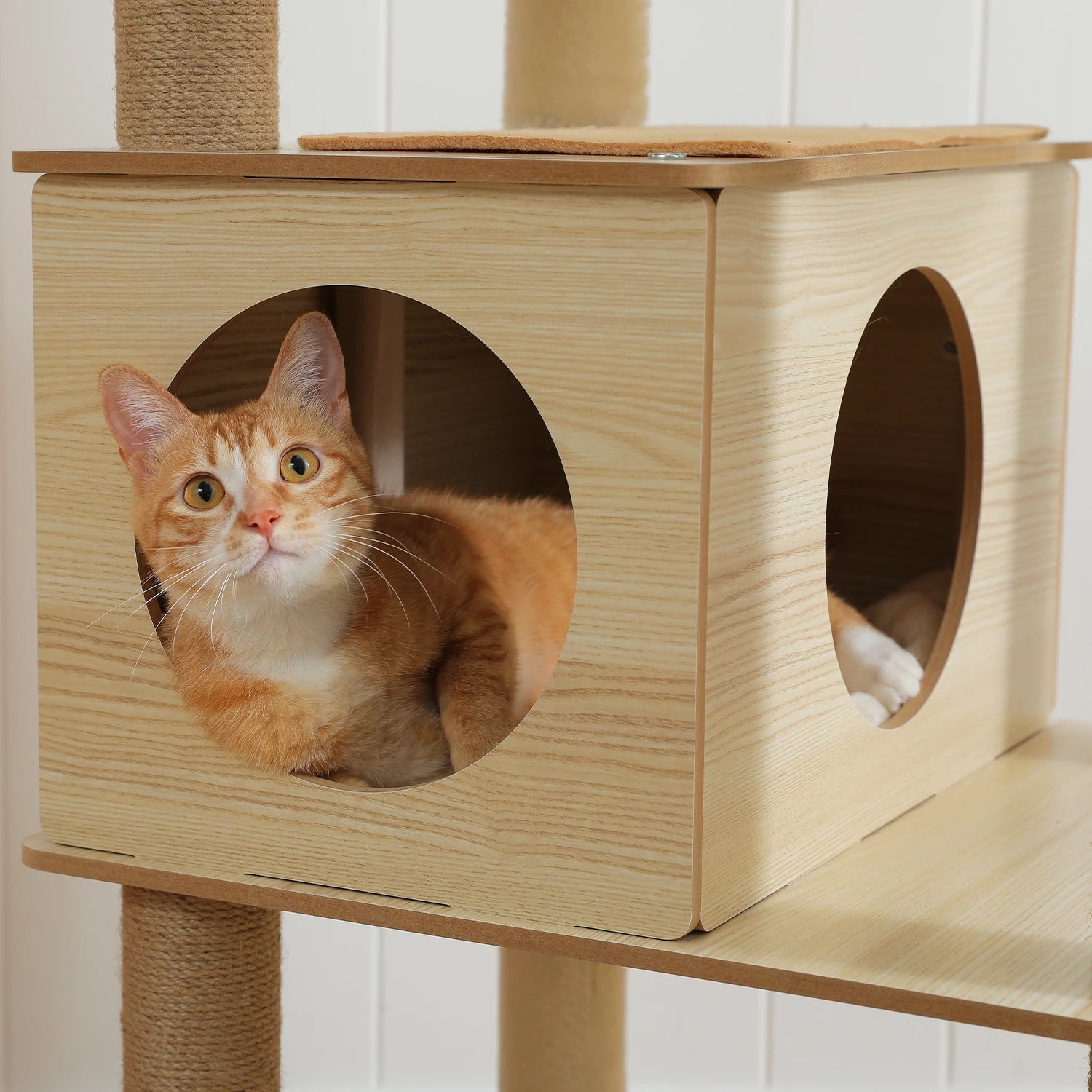 Chat roux qui entre dans la niche cube en bois naturel de l'arbre à chat beige