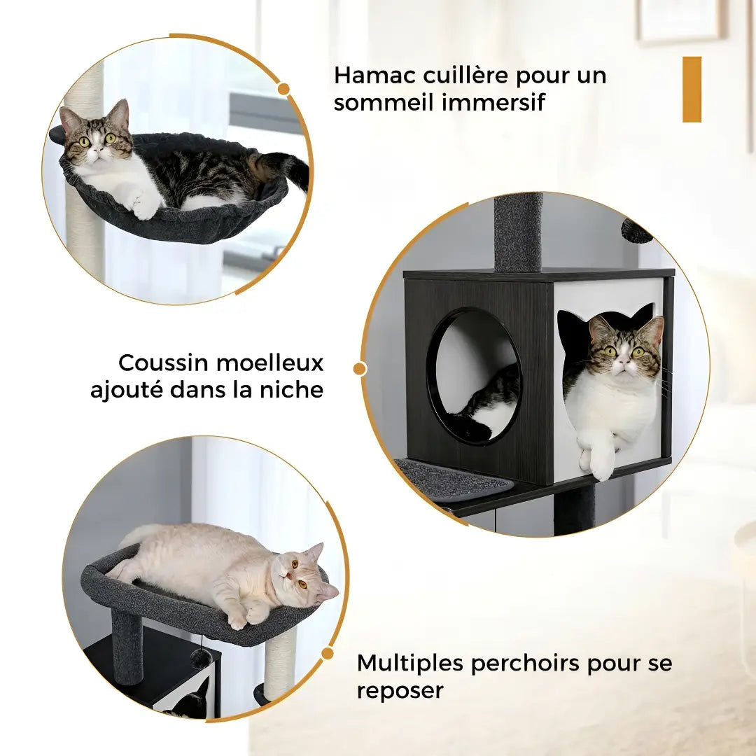Infographie des espaces de repos de l'arbre à chat en bois gris : hamac cuillère, coussin moelleux dans la niche et multiples perchoirs