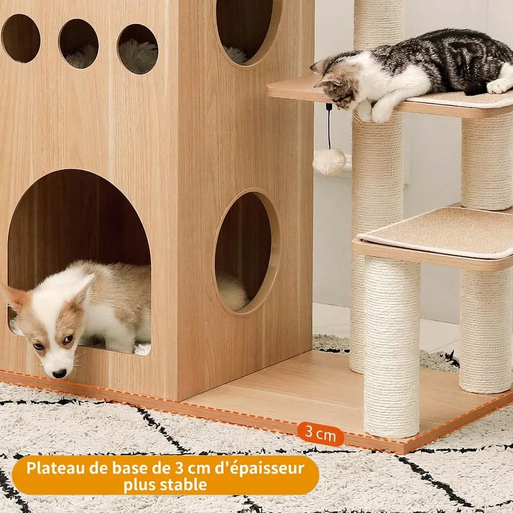 Plateau de base de 3 cm d'épaisseur de l'arbre à chat en bois naturel offrant une stabilité renforcée avec chat et chien