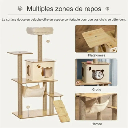 Infographie des multiples zones de repos de l'arbre à chat en bois : plateformes peluche, grotte et hamac