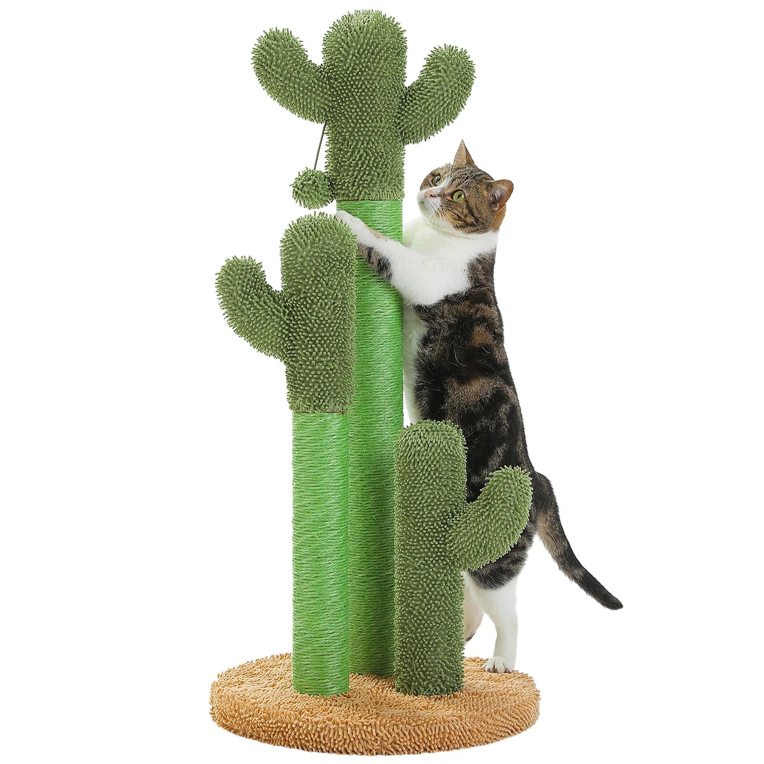 Chat noir et blanc qui grimpe activement sur le poteau de l'arbre à chat cactus vert