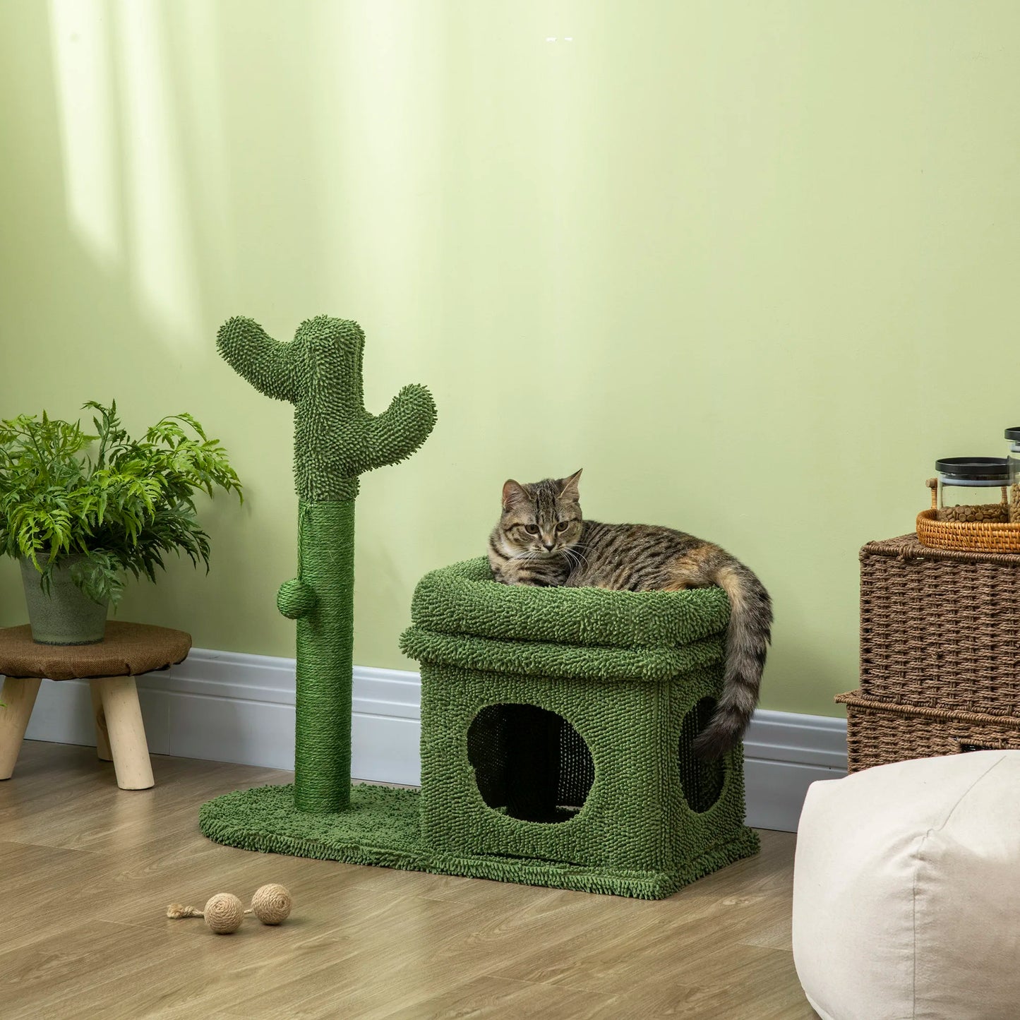 Chat tigré installé sur le lit supérieur de l'arbre à chat cactus chenille dans un salon aux murs verts