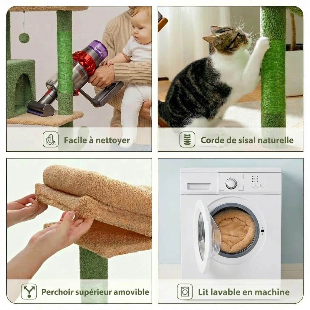 Infographie entretien de l'arbre à chat cactus : corde sisal naturelle, perchoir amovible et lit lavable en machine
