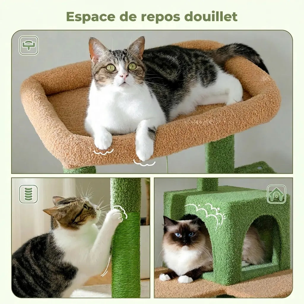Détail de l'espace de repos douillet de l'arbre à chat cactus avec panier et niche, chat ragdoll installé
