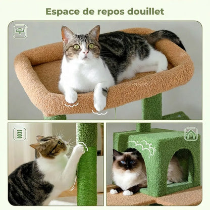 Détail de l'espace de repos douillet de l'arbre à chat cactus avec panier et niche, chat ragdoll installé
