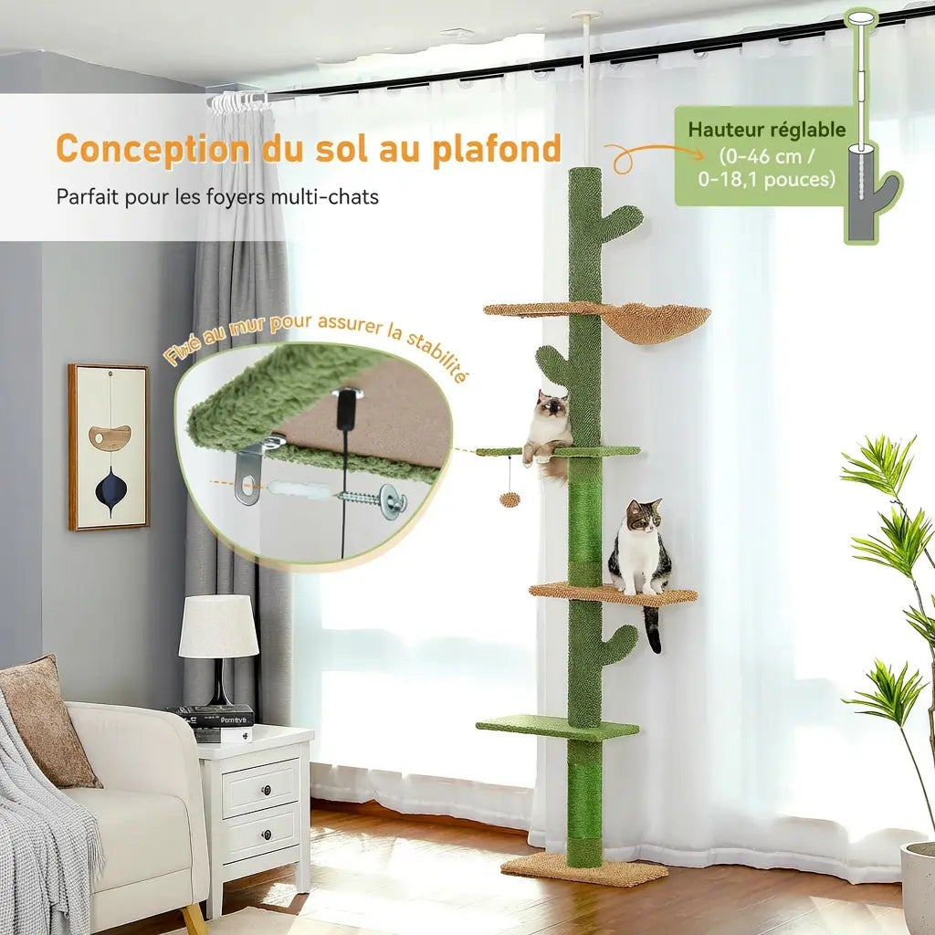 Arbre à chat cactus fixation sol plafond hauteur réglable installé dans un salon lumineux
