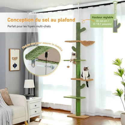 Arbre à chat cactus fixation sol plafond hauteur réglable installé dans un salon lumineux