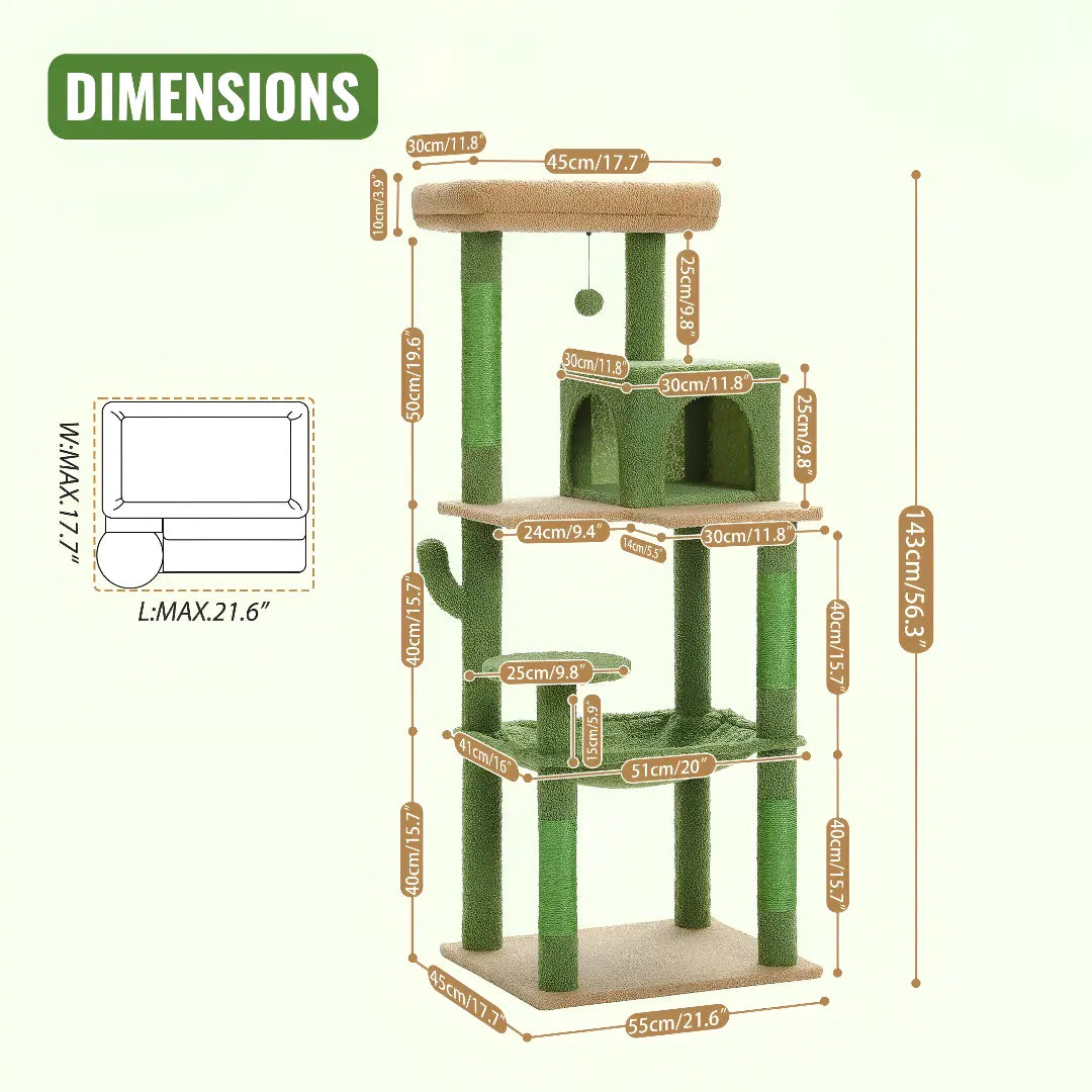 Schéma technique avec dimensions annotées du grand arbre à chat cactus vert et beige