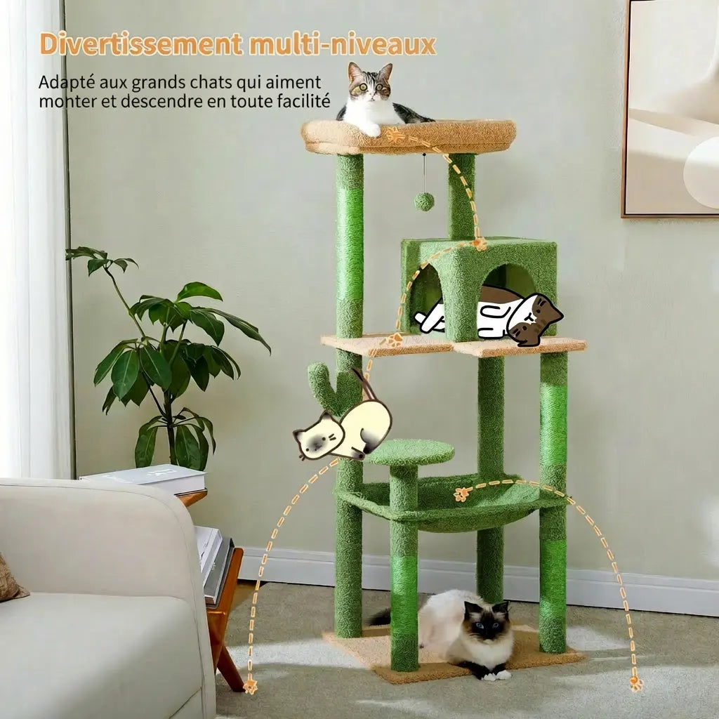 Grands chats qui se déplacent facilement entre les différents niveaux de l'arbre à chat cactus vert