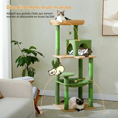 Grands chats qui se déplacent facilement entre les différents niveaux de l'arbre à chat cactus vert