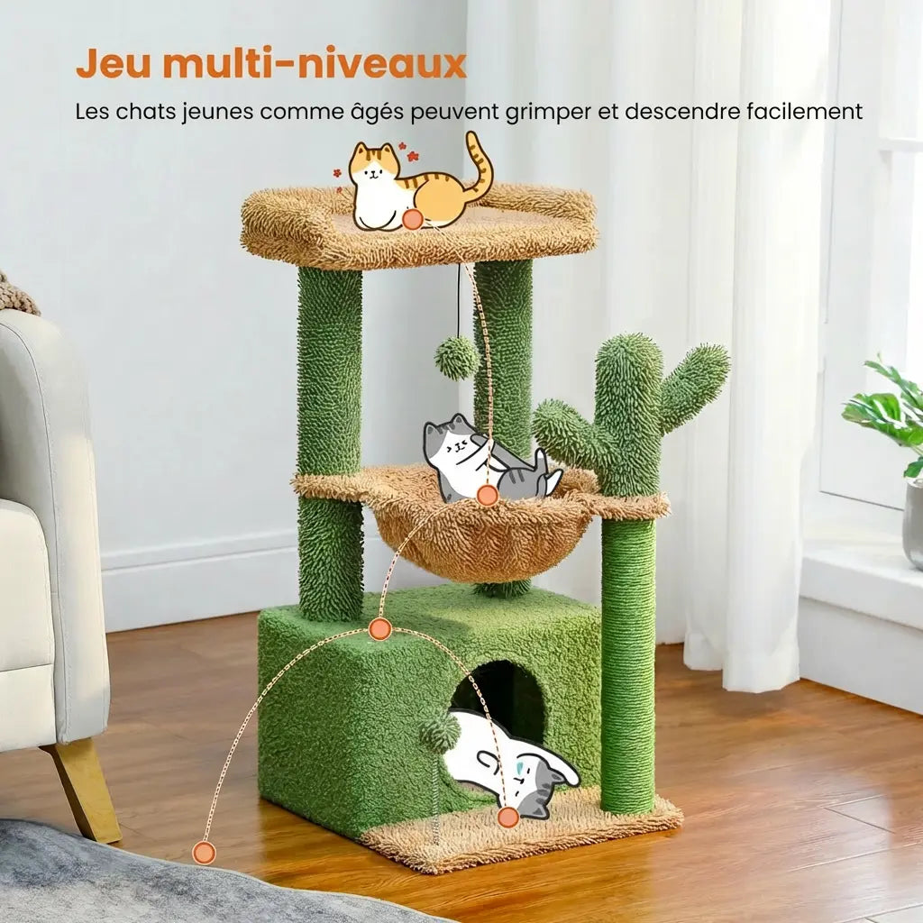Chatons agiles qui grimpent et descendent les différents niveaux de l'arbre à chat cactus