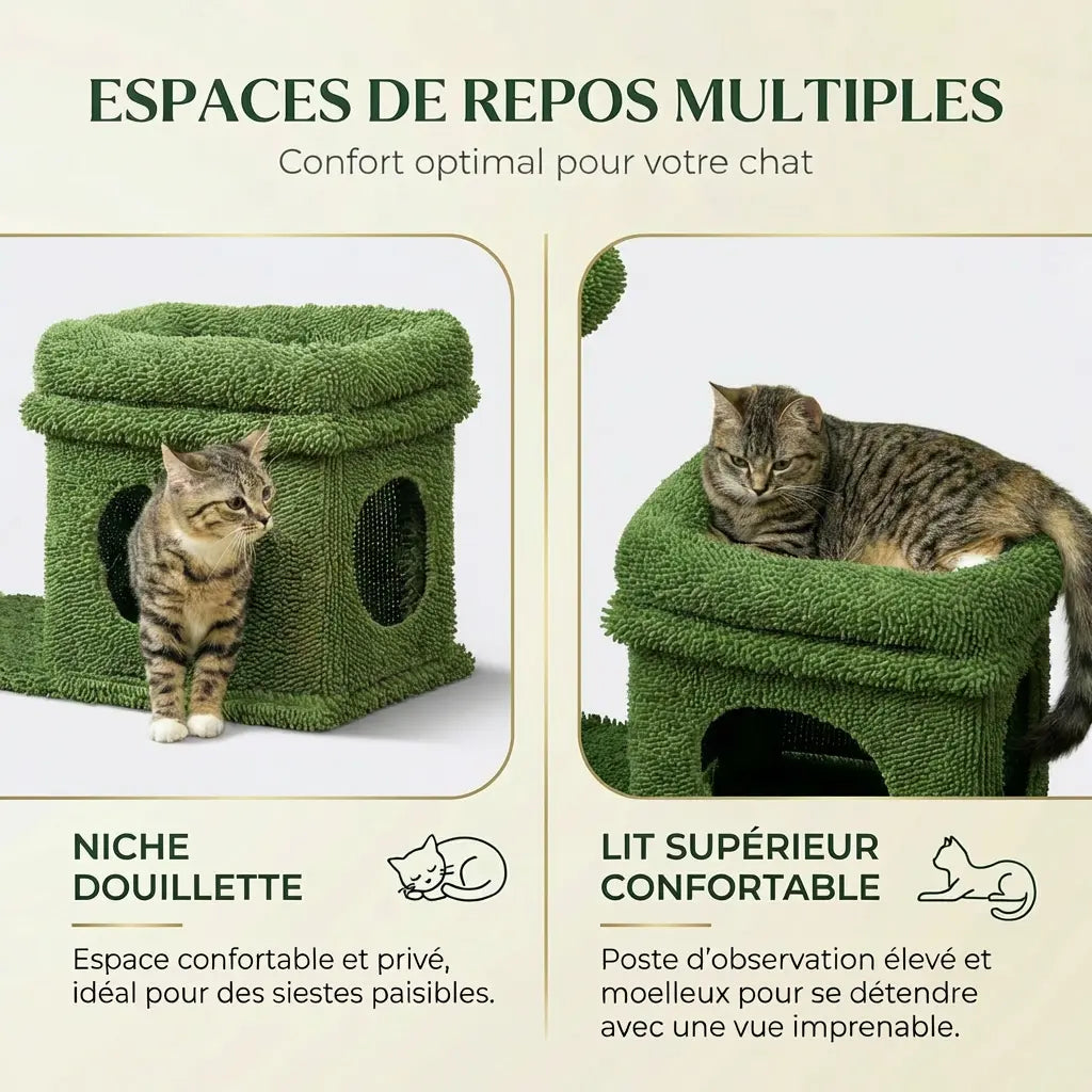 Deux chats profitant simultanément de la niche douillette et du lit supérieur confortable de l'arbre à chat cactus