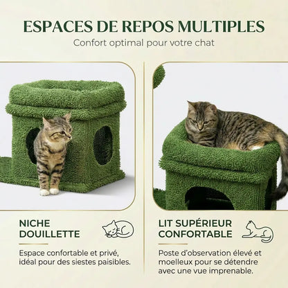 Deux chats profitant simultanément de la niche douillette et du lit supérieur confortable de l'arbre à chat cactus