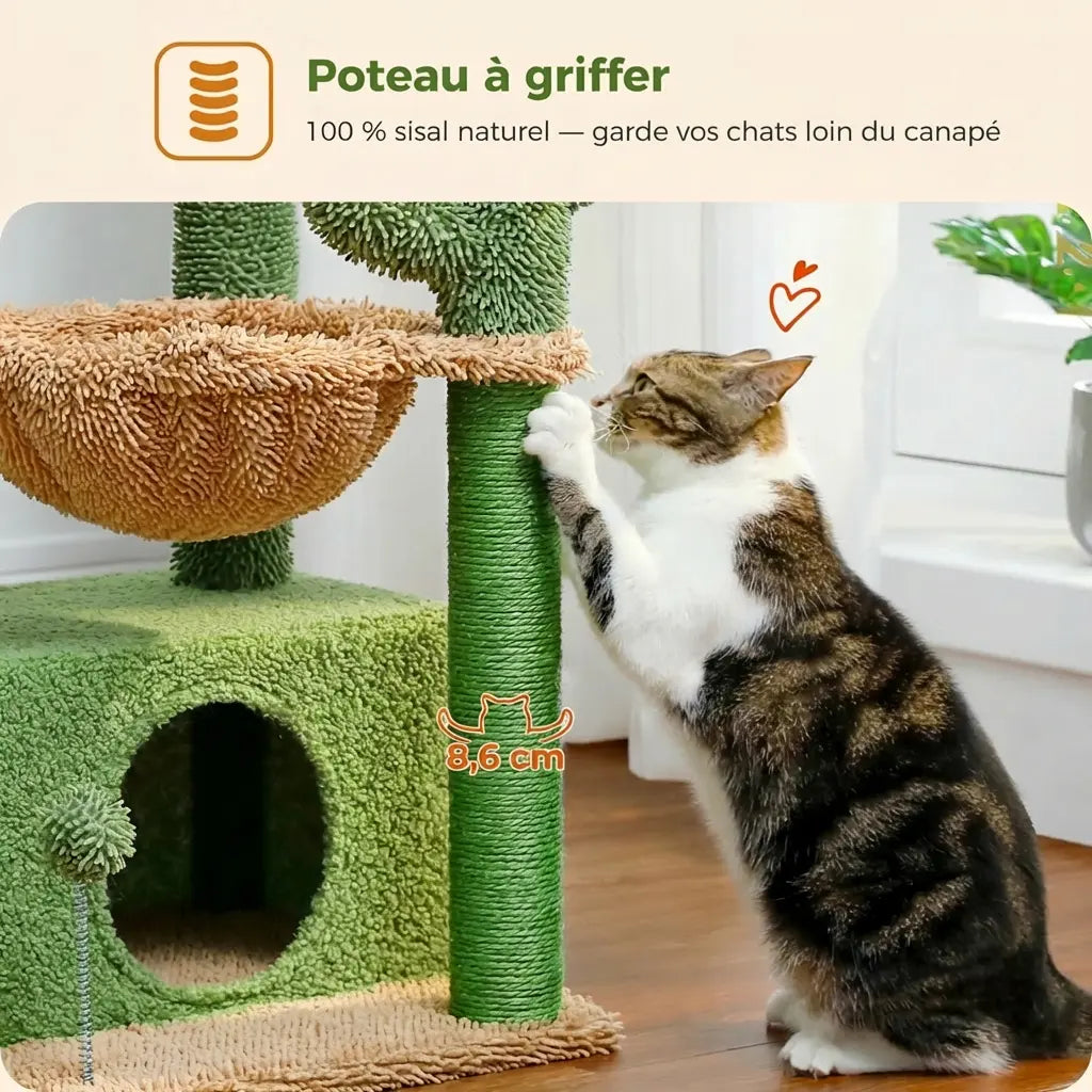 Chat tigré qui utilise le poteau en sisal 100% naturel de l'arbre à chat cactus pour se faire les griffes