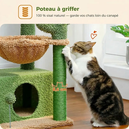 Chat tigré qui utilise le poteau en sisal 100% naturel de l'arbre à chat cactus pour se faire les griffes
