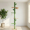 Arbre à chat cactus sol au plafond 5 niveaux