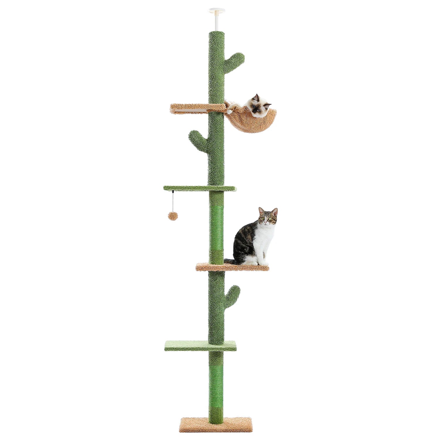 Vue produit de l'arbre à chat cactus sol plafond sur fond neutre avec chat sur une plateforme