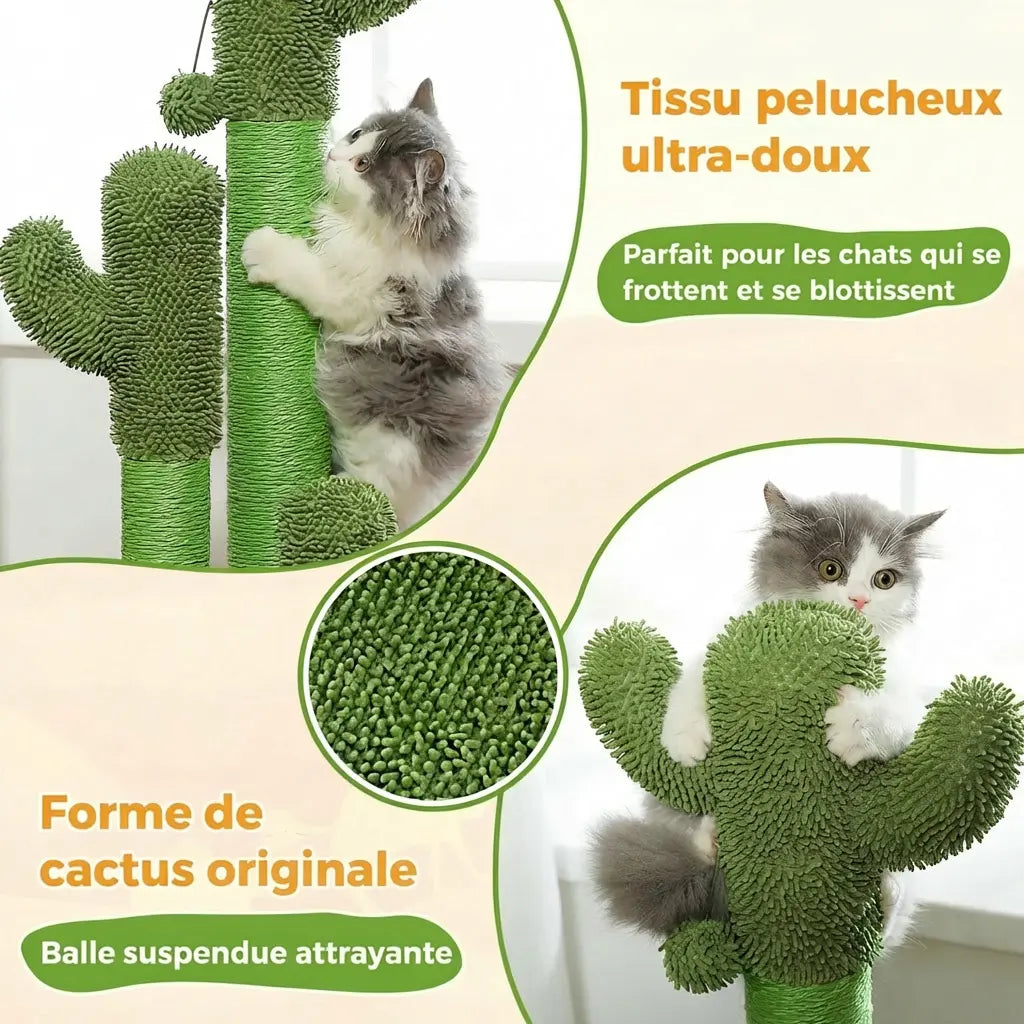 Gros plan du tissu pelucheux ultra-doux de l'arbre à chat cactus avec chat gris qui se blottit contre