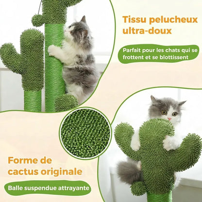 Gros plan du tissu pelucheux ultra-doux de l'arbre à chat cactus avec chat gris qui se blottit contre