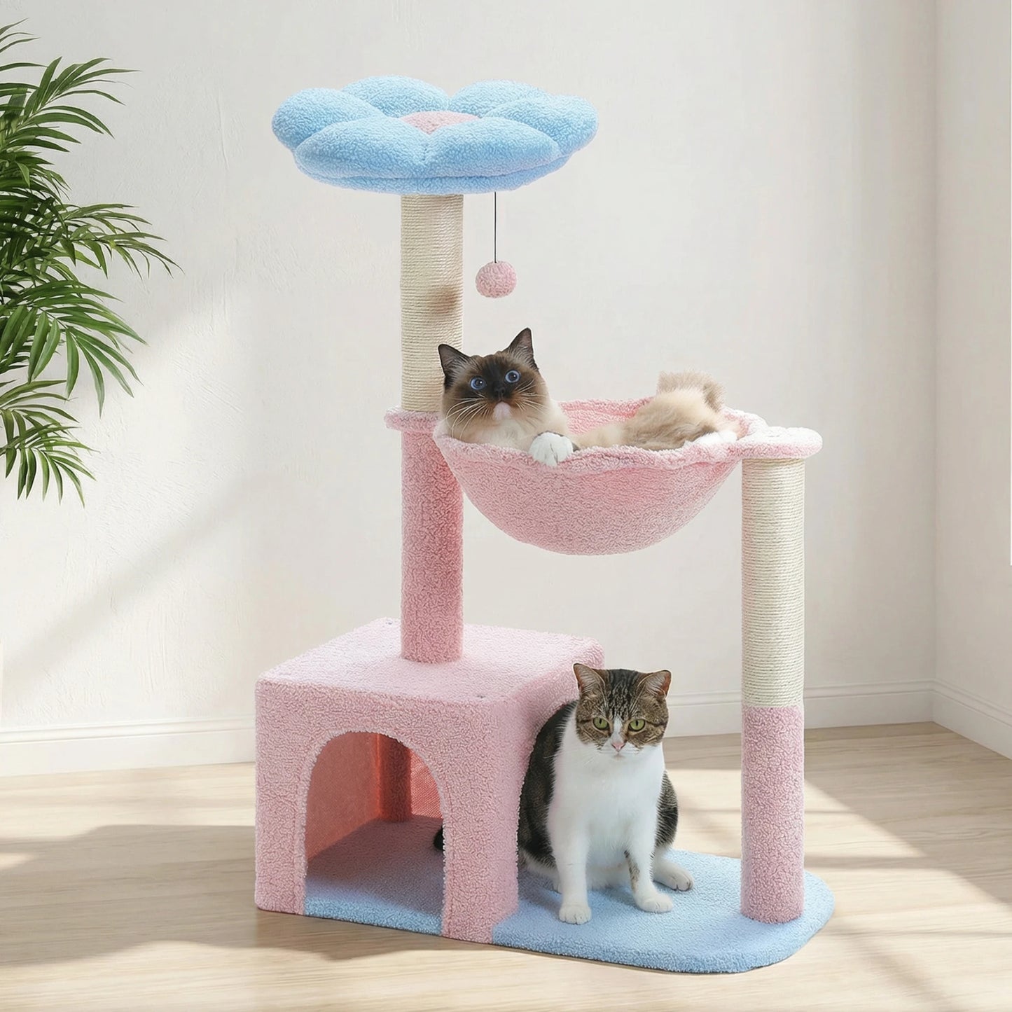 Version bleu et rose de l'arbre à chat fleur avec chat dans la niche et plante en arrière-plan