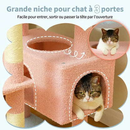 Chat qui passe par une des trois ouvertures de la grande niche de l'arbre à chat fleur rose