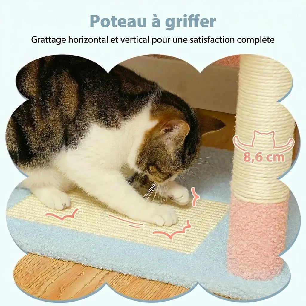 Chat noir et blanc qui griffe horizontalement et verticalement le poteau de l'arbre à chat fleur