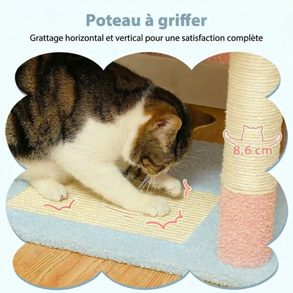 Chat noir et blanc qui griffe horizontalement et verticalement le poteau de l'arbre à chat fleur