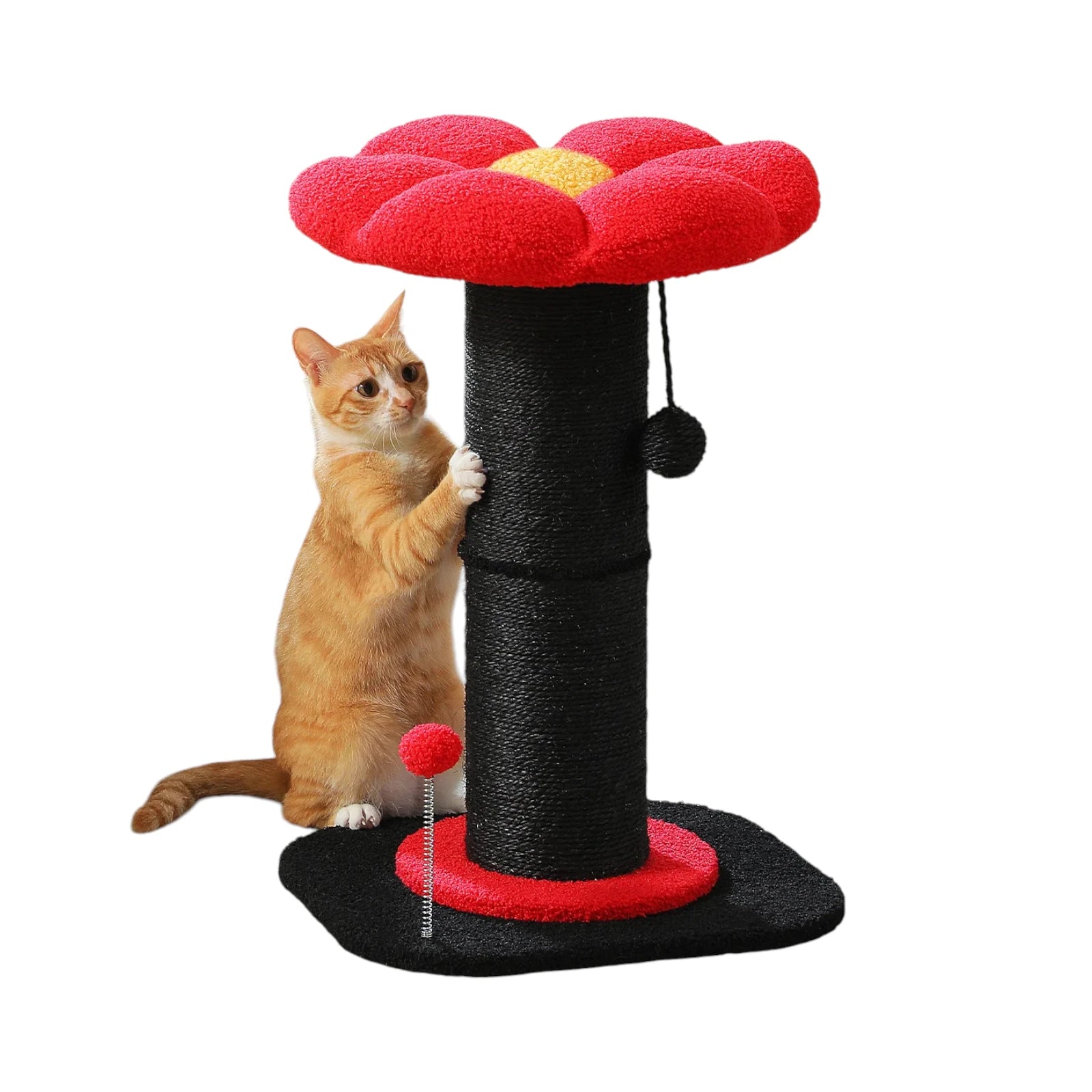 Chat roux qui griffe le poteau en sisal de l'arbre à chat fleur rouge sur fond neutre