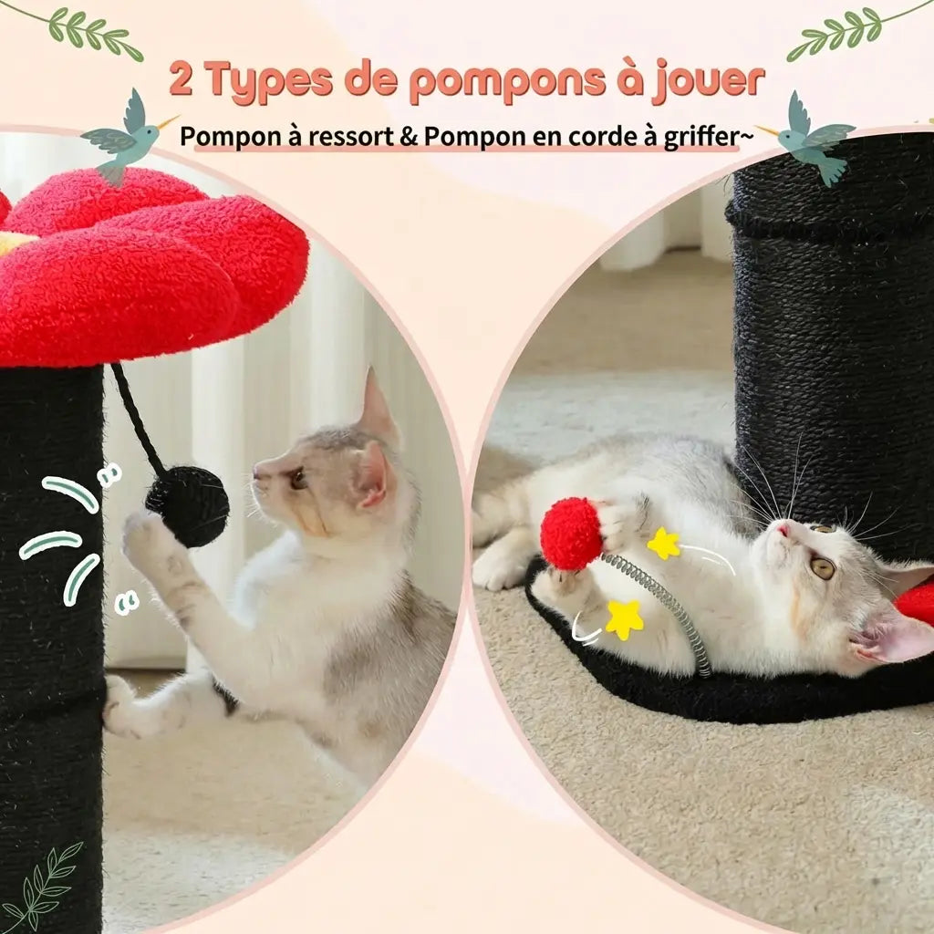 Les deux types de pompons de jeu de l'arbre à chat fleur rouge : pompon à ressort et pompon à corde à griffer