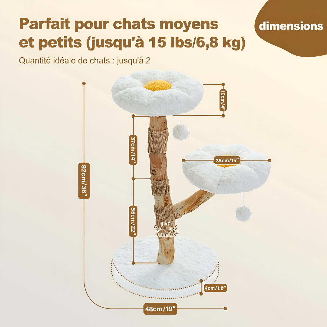 Schéma technique des dimensions de l'arbre à chat fleur blanc adapté aux chats petits et moyens jusqu'à 6,8 kg