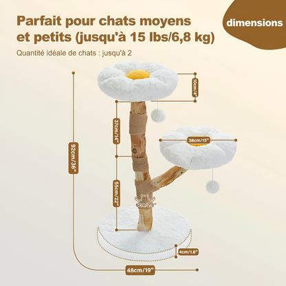 Schéma technique des dimensions de l'arbre à chat fleur blanc adapté aux chats petits et moyens jusqu'à 6,8 kg