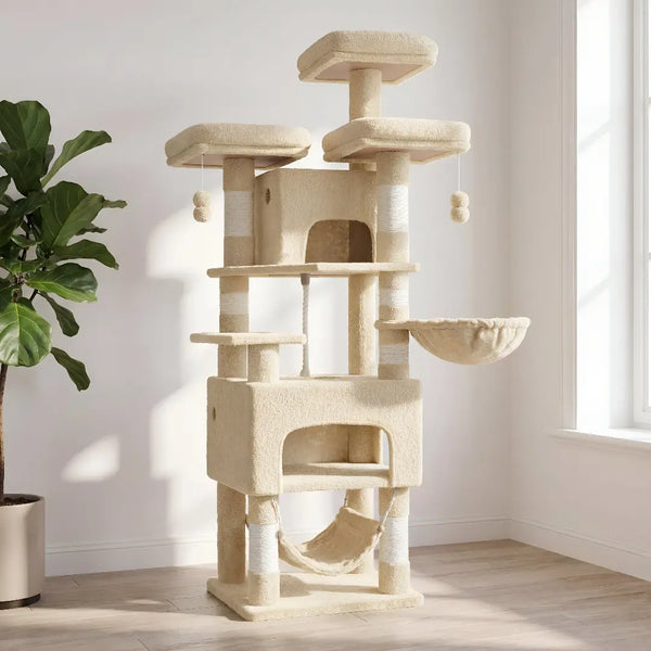 Grand arbre à chat Maine Coon beige avec parcours de grimpe, hamac et niche, plante ficus en arrière-plan
