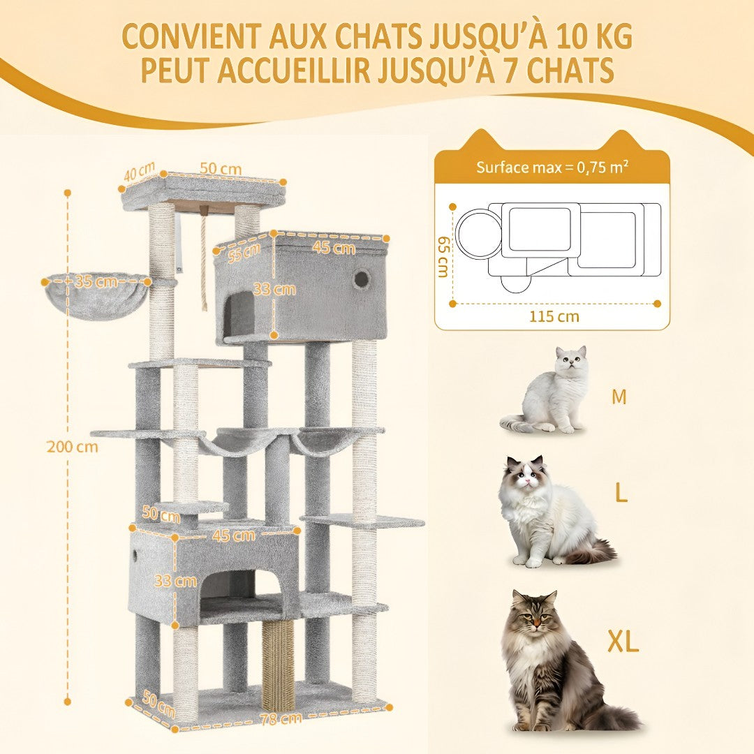 Infographie arbre à chat Maine Coon pouvant accueillir jusqu'à 7 chats de 10 kg avec comparaison de tailles S, L, XL