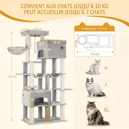Infographie arbre à chat Maine Coon pouvant accueillir jusqu'à 7 chats de 10 kg avec comparaison de tailles S, L, XL
