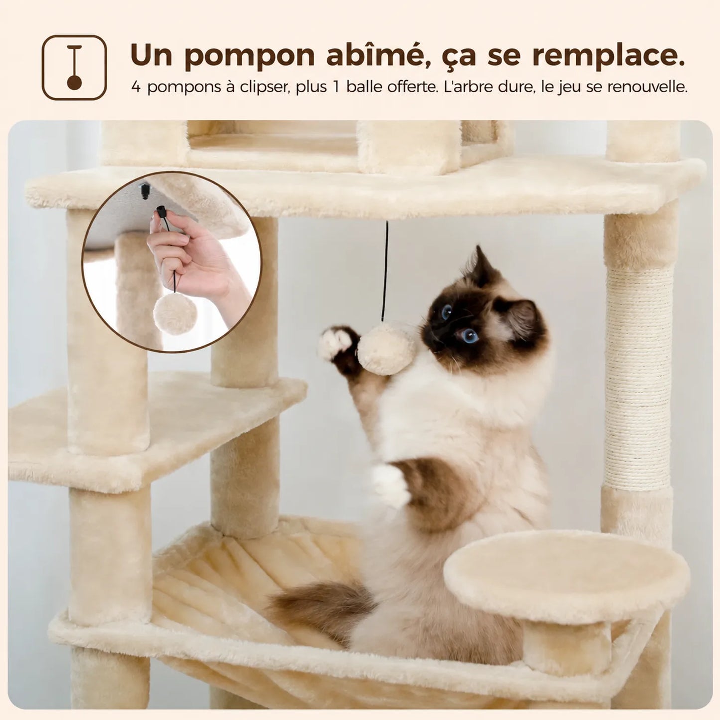 Chat colorpoint jouant avec les pompons suspendus de l'arbre, démontrant l'accessoire de jeu interactif et remplaçable.
