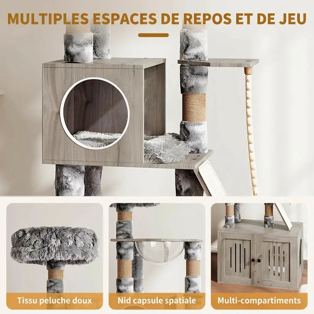 Présentation des multiples espaces de repos et de jeu de l'arbre à chat Maine Coon : tissu pelucheux, nid capsule et multi-compartiments