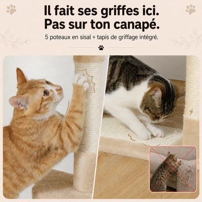 Chat roux grattant un poteau en sisal, chat tigré blanc utilisant les surfaces de griffage intégrées de l'arbre.
