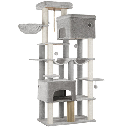 Vue produit complète de l'arbre à chat Maine Coon gris sur fond blanc avec tous les niveaux visibles