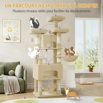  Infographie du parcours d'exploration multi-niveaux reliés de l'arbre à chat Maine Coon dans un salon