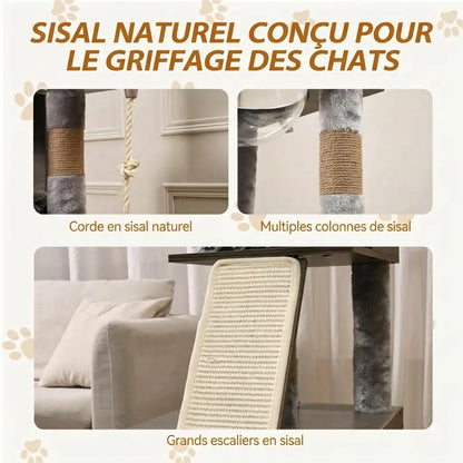 Détail des éléments de griffage de l'arbre à chat Maine Coon : corde sisal naturelle, colonnes et grands escaliers en sisal